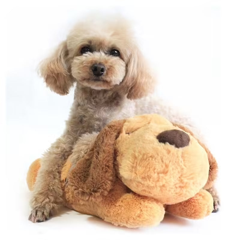 Peluche "Coeur Apaisant" - Calme & Réconfort pour Animaux