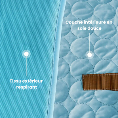 CoolPad™ – Tapis Rafraîchissant pour Chien et Chat