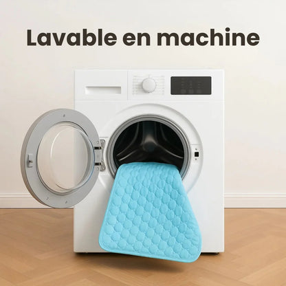 CoolPad™ – Tapis Rafraîchissant pour Chien et Chat