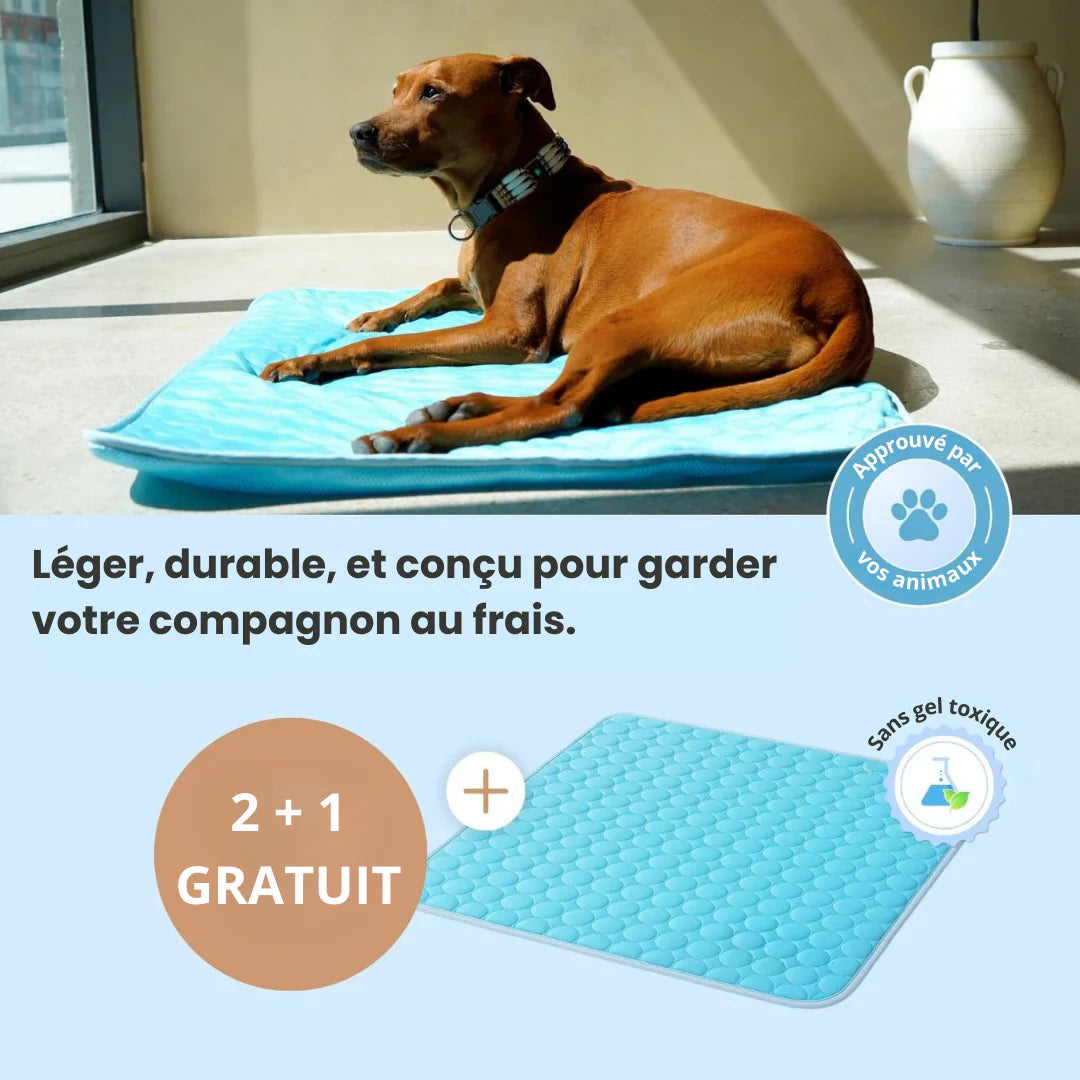 CoolPad™ – Tapis Rafraîchissant pour Chien et Chat
