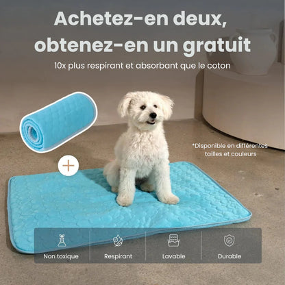 CoolPad™ – Tapis Rafraîchissant pour Chien et Chat